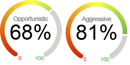 NCAM Market Risk Meter